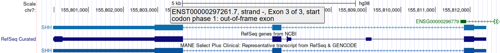 An example of a tooltip with increased
text size