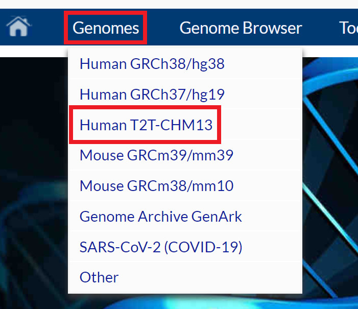 Finding CHM13
in the Genomes menu dropdown.