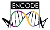 ENCODE Project at NHGRI ENCODE Project at NHGRI